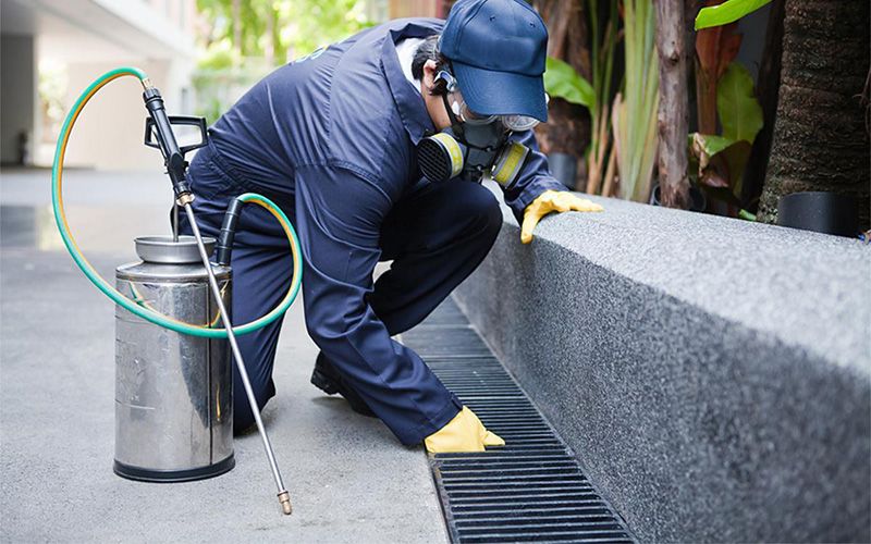 Ahlat böcek ilaçlama keşif aşaması